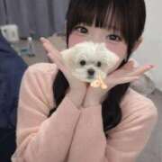 ヒメ日記 2026/01/21 03:23 投稿 うゆ IRIS一宮