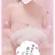 ヒメ日記 2026/01/20 06:42 投稿 とあ 30分3900円！サンキュー静岡店（サンキューグループ）