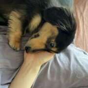 ヒメ日記 2026/01/16 18:31 投稿 みづき☆ CLUB PIAA