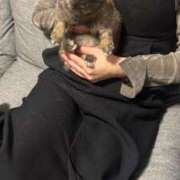 ヒメ日記 2026/03/21 18:04 投稿 清瀬 真奈 人妻セレブ宮殿