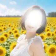 ヒメ日記 2026/07/30 07:47 投稿 琴子(ことこ) 人妻出逢い会 百合の園 山の手本店