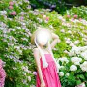 ヒメ日記 2026/08/06 09:14 投稿 琴子(ことこ) 人妻出逢い会 百合の園 山の手本店