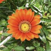 ヒメ日記 2026/01/10 00:41 投稿 日高　あんな 出張メンズエステ ロマンスSPA 奈良