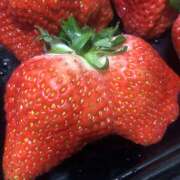 ヒメ日記 2026/01/14 10:10 投稿 日高　あんな 出張メンズエステ ロマンスSPA 奈良