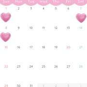 ヒメ日記 2026/02/28 15:22 投稿 日高　あんな 出張メンズエステ ロマンスSPA 奈良