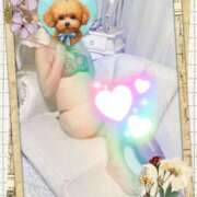 ヒメ日記 2026/01/19 18:13 投稿 中野なな こあくまな人妻・熟女たち岡山店（KOAKUMAグループ）