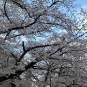 ヒメ日記 2026/03/28 08:03 投稿 桃田 人妻風俗チャンネル