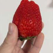 ヒメ日記 2026/03/28 22:13 投稿 桃田 人妻風俗チャンネル