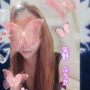 ヒメ日記 2026/01/09 17:39 投稿 矢野 ふうか プルプルオフィスディーバ