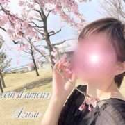 ヒメ日記 2026/04/14 07:44 投稿 （松本発）梓（あずさ）お姉様 コインダムール(松本)