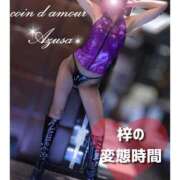 ヒメ日記 2026/06/10 16:19 投稿 （松本発）梓（あずさ）お姉様 コインダムール(松本)