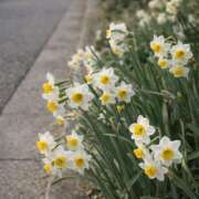 ヒメ日記 2026/01/11 07:02 投稿 かんな ハピネス福岡