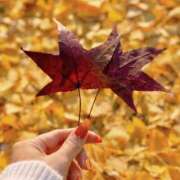 ヒメ日記 2026/01/14 18:02 投稿 かんな ハピネス福岡