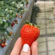 ヒメ日記 2026/01/22 07:02 投稿 かんな ハピネス福岡