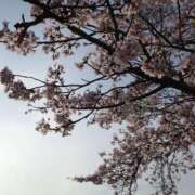 ヒメ日記 2026/04/08 08:05 投稿 かんな ハピネス福岡