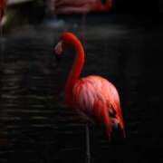 ヒメ日記 2026/01/19 15:33 投稿 べる ドMバスターズ岡崎・安城・豊田店