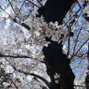 ヒメ日記 2026/04/02 22:01 投稿 もみじ 池袋モンデミーテ（シンデレラグループ）