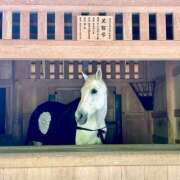 ヒメ日記 2026/04/01 09:45 投稿 あきほ 出会い系人妻ネットワーク 上野〜大塚編