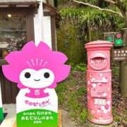 ヒメ日記 2026/04/08 08:44 投稿 あきほ 出会い系人妻ネットワーク 上野〜大塚編