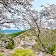 ヒメ日記 2026/04/11 08:45 投稿 あきほ 出会い系人妻ネットワーク 上野〜大塚編