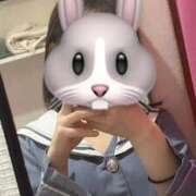 ヒメ日記 2026/02/17 10:26 投稿 あん みつらん鉄道