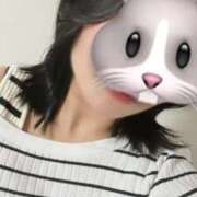 ヒメ日記 2026/02/18 19:54 投稿 あん みつらん鉄道