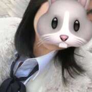 ヒメ日記 2026/02/23 10:14 投稿 あん みつらん鉄道