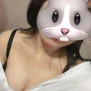 ヒメ日記 2026/02/27 09:24 投稿 あん みつらん鉄道