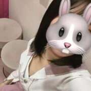 ヒメ日記 2026/03/06 11:04 投稿 あん みつらん鉄道