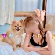 ヒメ日記 2026/06/28 14:01 投稿 羽夢(はむ)わかな Versailles