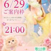 ヒメ日記 2026/06/29 10:29 投稿 羽夢(はむ)わかな Versailles