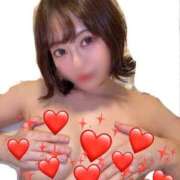 ヒメ日記 2026/01/29 16:16 投稿 ヒマワリ ファーストレディー