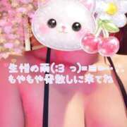 ヒメ日記 2026/09/16 10:35 投稿 かや THE ESUTE HOUSE 柴田