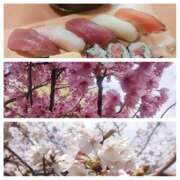 花村 れん 春の桜散歩デート セカンドパートナー池袋