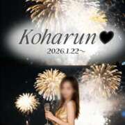 ヒメ日記 2026/01/20 19:01 投稿 こはる ビギナーズ神戸