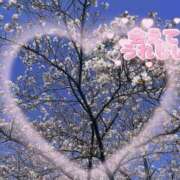 ヒメ日記 2026/03/21 21:32 投稿 りぜ 吉祥寺ミセス・シンデレラ（シンデレラグループ）