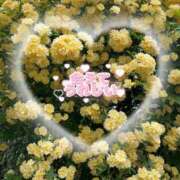 ヒメ日記 2026/04/29 22:36 投稿 りぜ 吉祥寺ミセス・シンデレラ（シンデレラグループ）