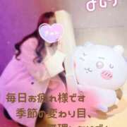 ヒメ日記 2026/02/24 22:52 投稿 よしの 熟女の風俗最終章 新宿店