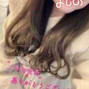 ヒメ日記 2026/02/02 13:52 投稿 よしの 熟女の風俗最終章 池袋店