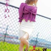 ヒメ日記 2026/03/28 16:24 投稿 堂本めい 五十路マダム 浜松店(カサブランカグループ)