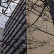 ヒメ日記 2026/03/23 18:24 投稿 藤原 ミセスの手ほどき 錦糸町店