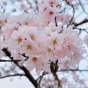 ヒメ日記 2026/03/28 10:10 投稿 美緒 CLASSY（クラッシー）.神戸