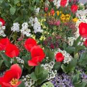 ヒメ日記 2026/04/02 10:00 投稿 美緒 CLASSY（クラッシー）.神戸