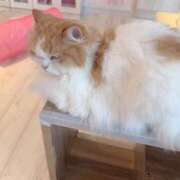 るる 来週のよてい✨ CECIL