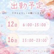 るる 予定✨️ CECIL