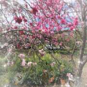 ヒメ日記 2026/03/24 23:20 投稿 松田もも 五十路マダム 浜松店(カサブランカグループ)