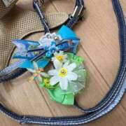 ヒメ日記 2026/03/06 13:10 投稿 茅ヶ崎　れの エテルナ京都