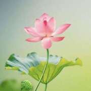 ヒメ日記 2026/03/22 17:31 投稿 茅ヶ崎　れの エテルナ京都