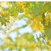 ヒメ日記 2026/03/24 12:47 投稿 茅ヶ崎　れの エテルナ京都