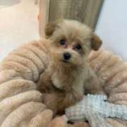 ヒメ日記 2026/02/13 06:40 投稿 うみ 水戸女学院PTA